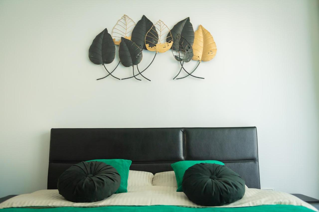 City Vibe Studio Brasov Ngoại thất bức ảnh